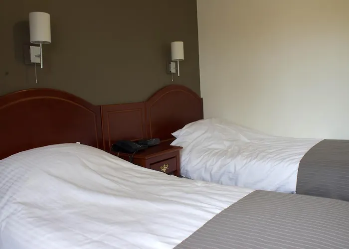 Hotel De Koppelpaarden 3*