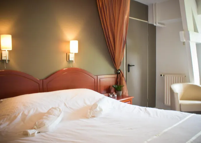 Hotel De Koppelpaarden 3*